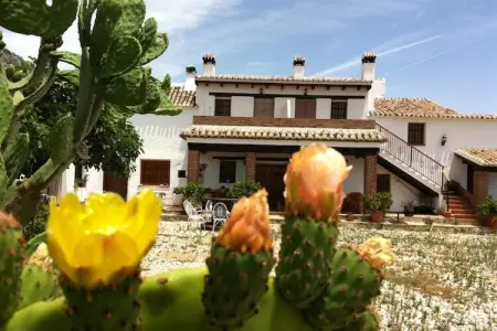 Cortijo las Monjas, Gîte charmant avec piscine situé à Periana - Photo 10