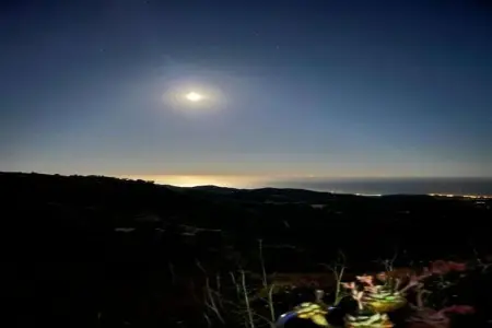 Casa Iris, Villa magnifique à Sayalonga Costa del Sol avec piscine - Photo 25