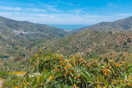 Casa Iris, Villa magnifique à Sayalonga Costa del Sol avec piscine - Photo 34