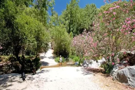 El Kedel, Villa isolée avec piscine privée à Arenas - Photo 34