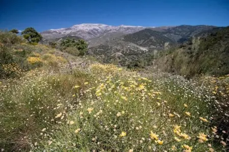 El Kedel, Villa isolée avec piscine privée à Arenas - Photo 37