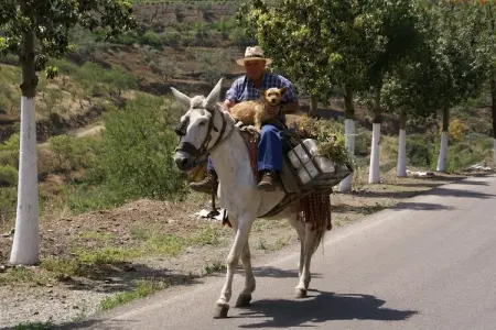 Villa Mariposa, Luxueuse maison de vacances avec piscine privée à Arenas - Photo 28