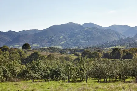 Pruneda I, Demeure spacieuse à Nava avec piscine - Photo 21