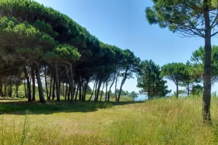 Villa Catro Faros, Villa avec vue panoramique sur mer et piscine à Sanxenxo - Photo 34