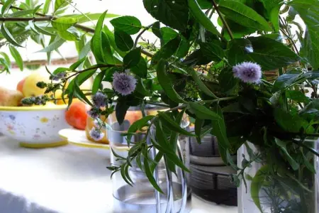 Villa Villaverde, Maison de vacances moderne près de la mer à Cantabrique - Photo 32