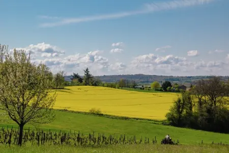 Montizon, Charmant gîte avec piscine à Roussines - Photo 25