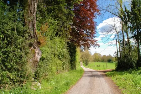 Montizon, Charmant gîte avec piscine à Roussines - Photo 26