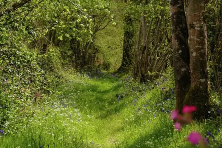 Montizon, Charmant gîte avec piscine à Roussines - Photo 29