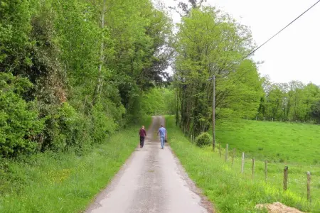 Montizon, Charmant gîte avec piscine à Roussines - Photo 30