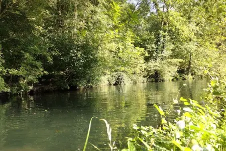 La Bergerie, Chalet patrimonial près de la forêt à Saint-Jean-de-Sauves - Photo 22