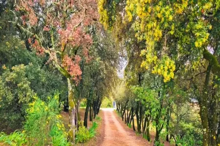 Villes sur Auzon, Villa de charme avec piscine à Villes-sur-Auzon - Photo 19