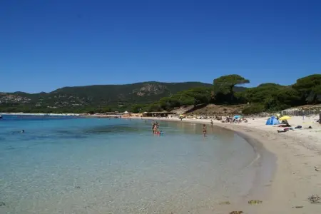Seaview, Villa moderne et spacieuse à Albitreccia avec piscine privée et  vue panoramique - Photo 29