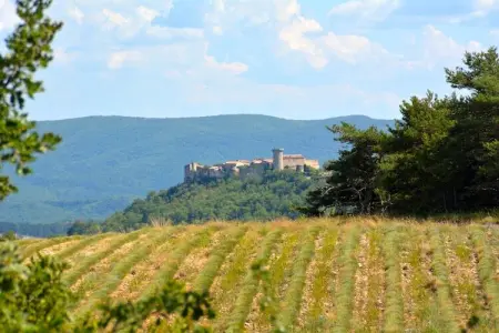 Pause, Magnifique villa avec piscine à Viens - Photo 29