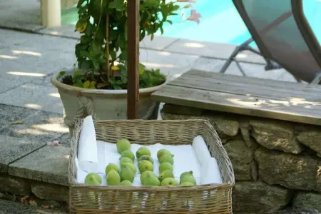 Pause, Magnifique villa avec piscine à Viens - Photo 37