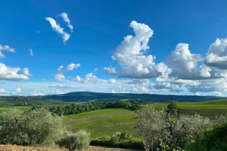 Maison de Vacances - Varsberg, Maison de vacances dans le Varsberg avec terrasse et jardin - Photo 37