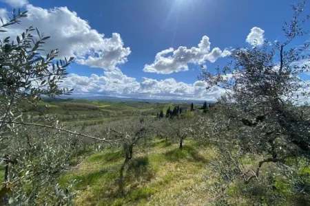 Maison de Vacances - Varsberg, Maison de vacances dans le Varsberg avec terrasse et jardin - Photo 38