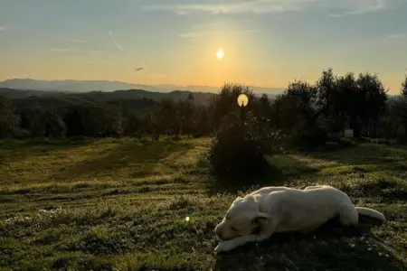 Maison de Vacances - Varsberg, Maison de vacances dans le Varsberg avec terrasse et jardin - Photo 39
