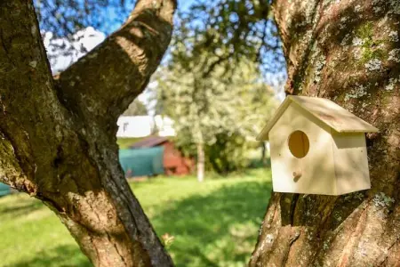 Maison à 1km de la plage, Maison de vacances moderne, proche plage, à Clohars-Carnoët - Photo 19