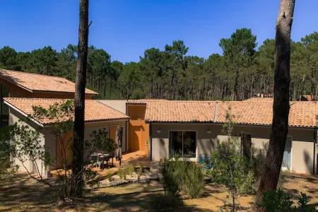 Clos les Pins, Maison de vacances indépendante, Gironde, jardin privatif - Photo 5