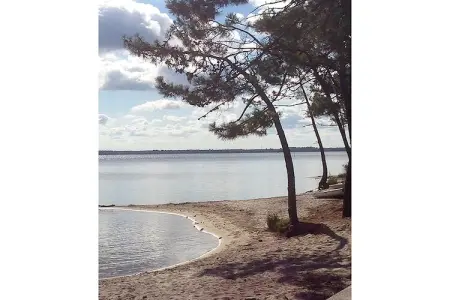 Clos les Pins, Maison de vacances indépendante, Gironde, jardin privatif - Photo 20