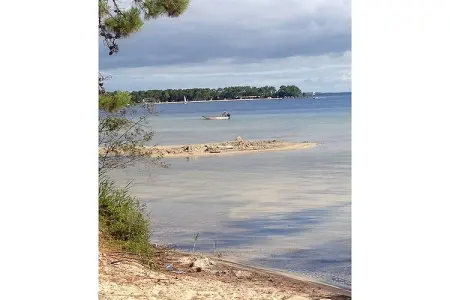 Clos les Pins, Maison de vacances indépendante, Gironde, jardin privatif - Photo 21