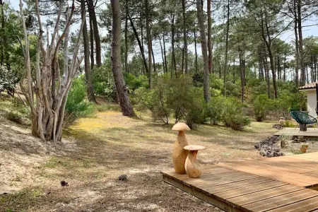 Clos les Pins, Maison de vacances indépendante, Gironde, jardin privatif - Photo 24