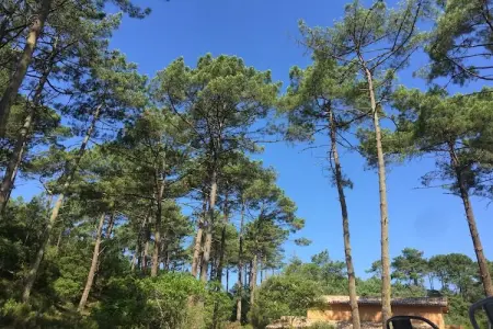 Clos les Pins, Maison de vacances indépendante, Gironde, jardin privatif - Photo 27