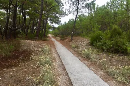 Clos les Pins, Maison de vacances indépendante, Gironde, jardin privatif - Photo 29