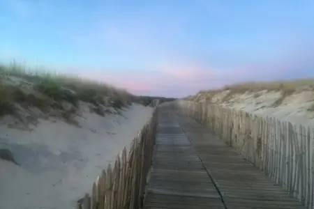 Clos les Pins, Maison de vacances indépendante, Gironde, jardin privatif - Photo 32