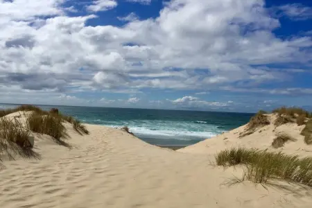 Clos les Pins, Maison de vacances indépendante, Gironde, jardin privatif - Photo 34