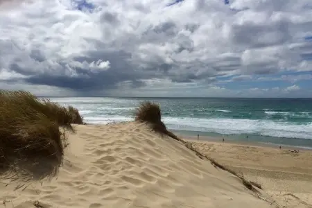 Clos les Pins, Maison de vacances indépendante, Gironde, jardin privatif - Photo 35
