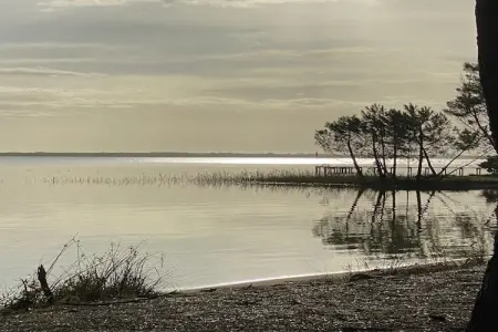 Clos les Pins, Maison de vacances indépendante, Gironde, jardin privatif - Photo 36