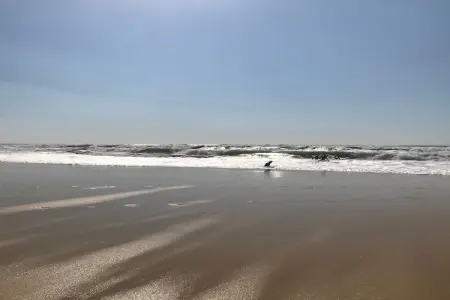 Clos les Pins, Maison de vacances indépendante, Gironde, jardin privatif - Photo 37