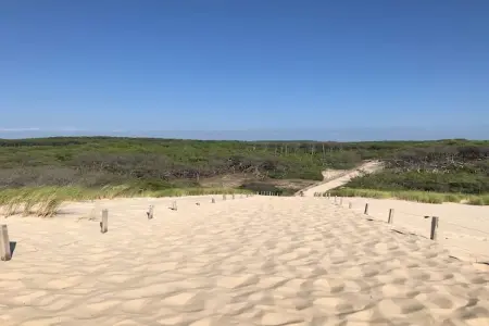 Clos les Pins, Maison de vacances indépendante, Gironde, jardin privatif - Photo 38