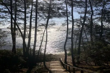 Clos les Pins, Maison de vacances indépendante, Gironde, jardin privatif - Photo 39