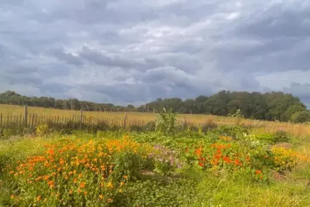 Maison Typique Bretonne, Maison Bretonne en pierres de pays à Saint-Gilles-les-Bois - Photo 24
