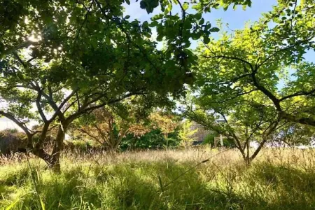 Maison Typique Bretonne, Maison Bretonne en pierres de pays à Saint-Gilles-les-Bois - Photo 25