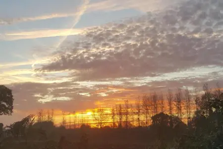 Maison Typique Bretonne, Maison Bretonne en pierres de pays à Saint-Gilles-les-Bois - Photo 28