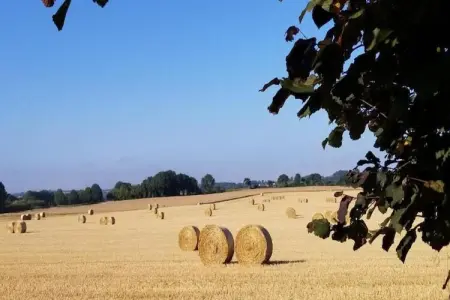 Maison Typique Bretonne, Maison Bretonne en pierres de pays à Saint-Gilles-les-Bois - Photo 30