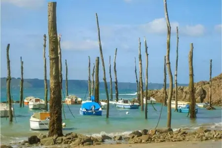 Maison Typique Bretonne, Maison Bretonne en pierres de pays à Saint-Gilles-les-Bois - Photo 31