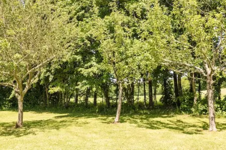 Le Phénix, Luxueux chalet avec piscine privée à Thenon - Photo 20