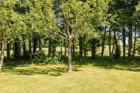 Le Phénix, Luxueux chalet avec piscine privée à Thenon - Photo 27