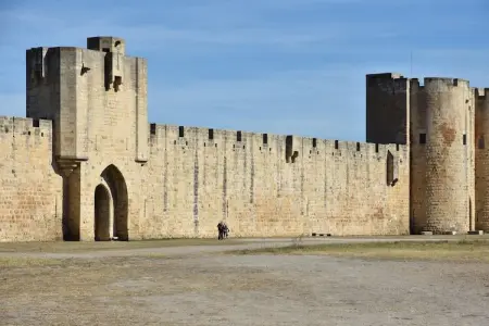 Villa Camargue, Maison de vacances luxueuse avec piscine privée à Port Camargue - Photo 31