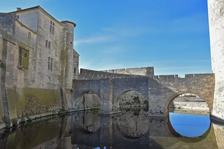 Villa Camargue, Maison de vacances luxueuse avec piscine privée à Port Camargue - Photo 33