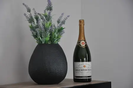 Villa Camargue, Maison de vacances luxueuse avec piscine privée à Port Camargue - Photo 34