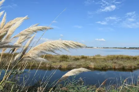 Villa Camargue, Maison de vacances luxueuse avec piscine privée à Port Camargue - Photo 37