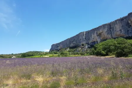 Villa de luxe en Provence avec jardin et terrasse couverte - Photo 31