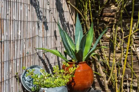 Charmante maison de vacances à Cuxac-Cabardes proche forêts - Photo 28