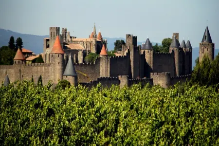 Charmante maison de vacances à Cuxac-Cabardes proche forêts - Photo 38