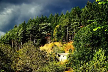 Charmante maison de vacances à Cuxac-Cabardes proche forêts - Photo 39